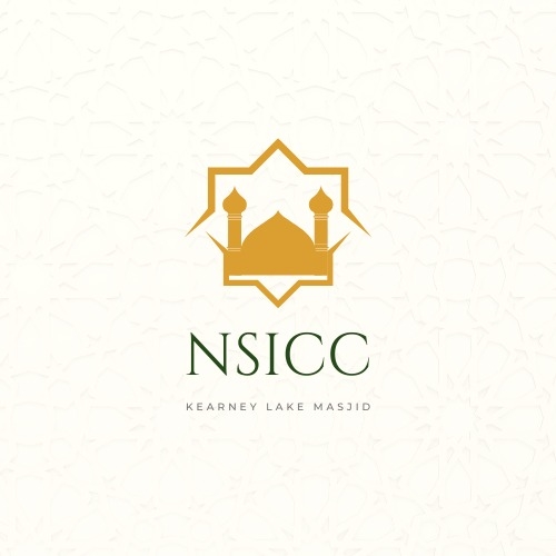 NSICC Logo