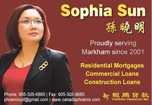 Phoenix Financial - Sophia Sun Logo